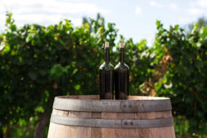 wine production process