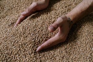 produzione alcolici normativa