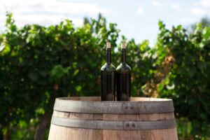 filtrazione vino