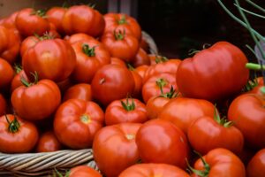 conservazione salsa al pomodoro