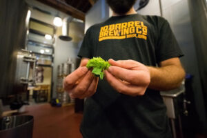 produzione birra