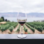 Cuándo embotellar el vino